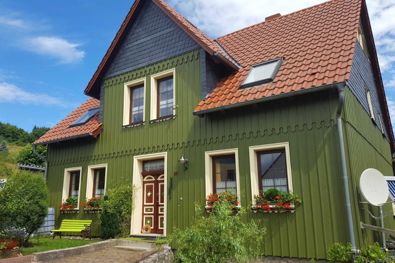 Das Gruene Haus Am Hexenstieg Rubeland Exteriör bild