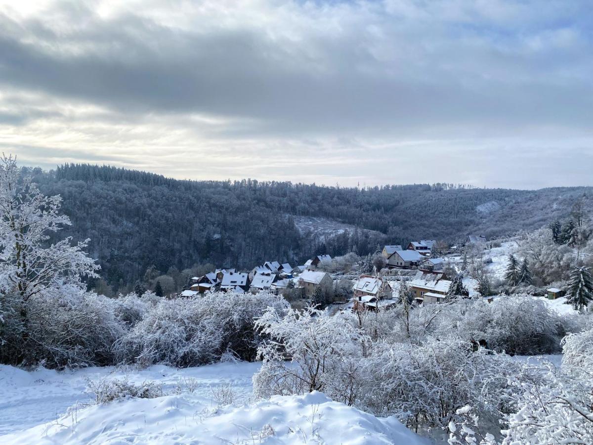 Das Gruene Haus Am Hexenstieg Rubeland Exteriör bild