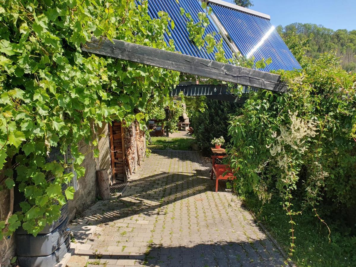 Das Gruene Haus Am Hexenstieg Rubeland Exteriör bild