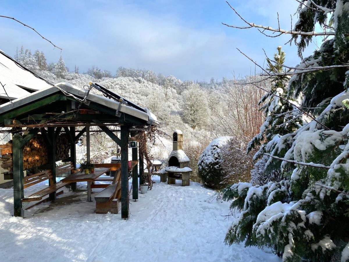 Das Gruene Haus Am Hexenstieg Rubeland Exteriör bild