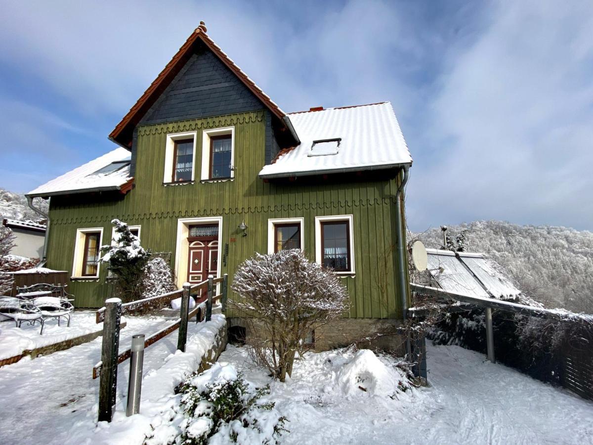 Das Gruene Haus Am Hexenstieg Rubeland Exteriör bild