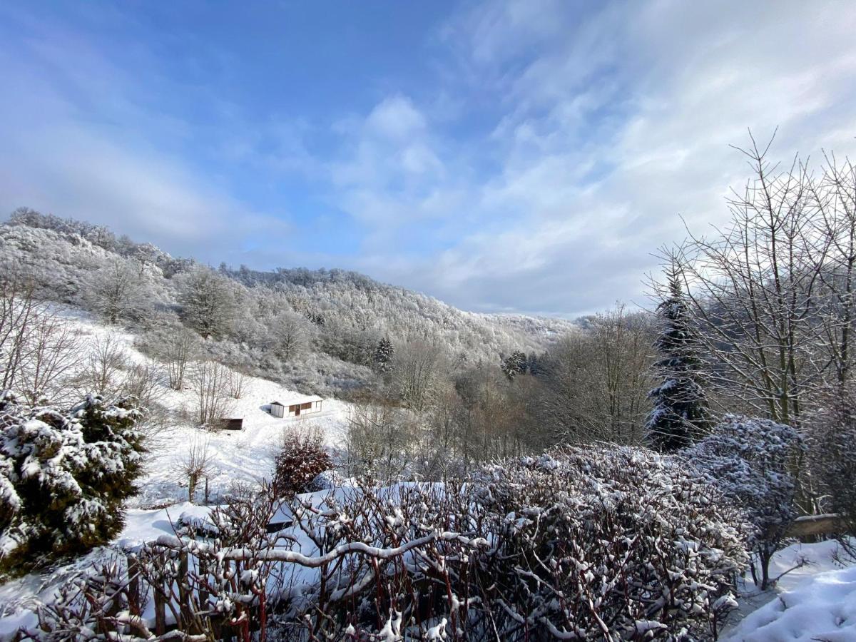 Das Gruene Haus Am Hexenstieg Rubeland Exteriör bild