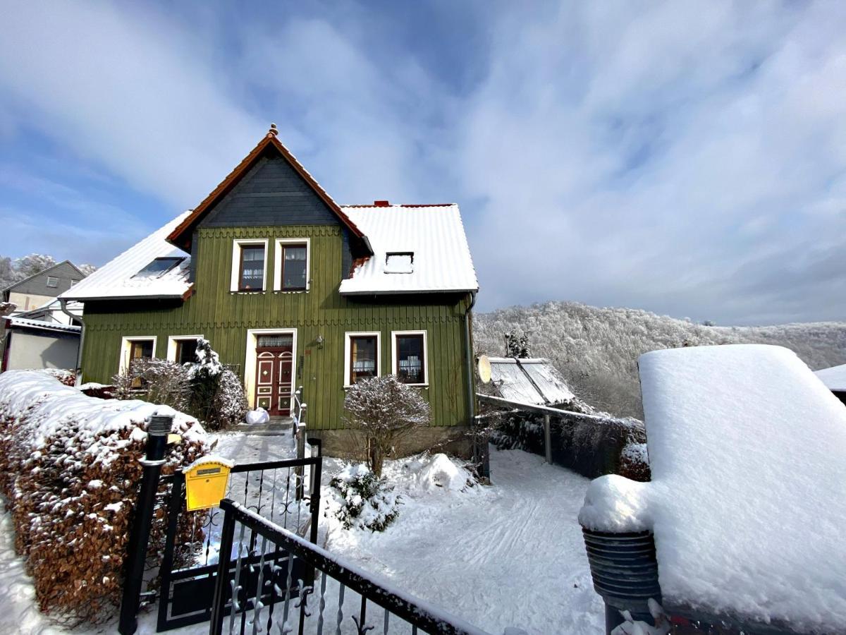 Das Gruene Haus Am Hexenstieg Rubeland Exteriör bild