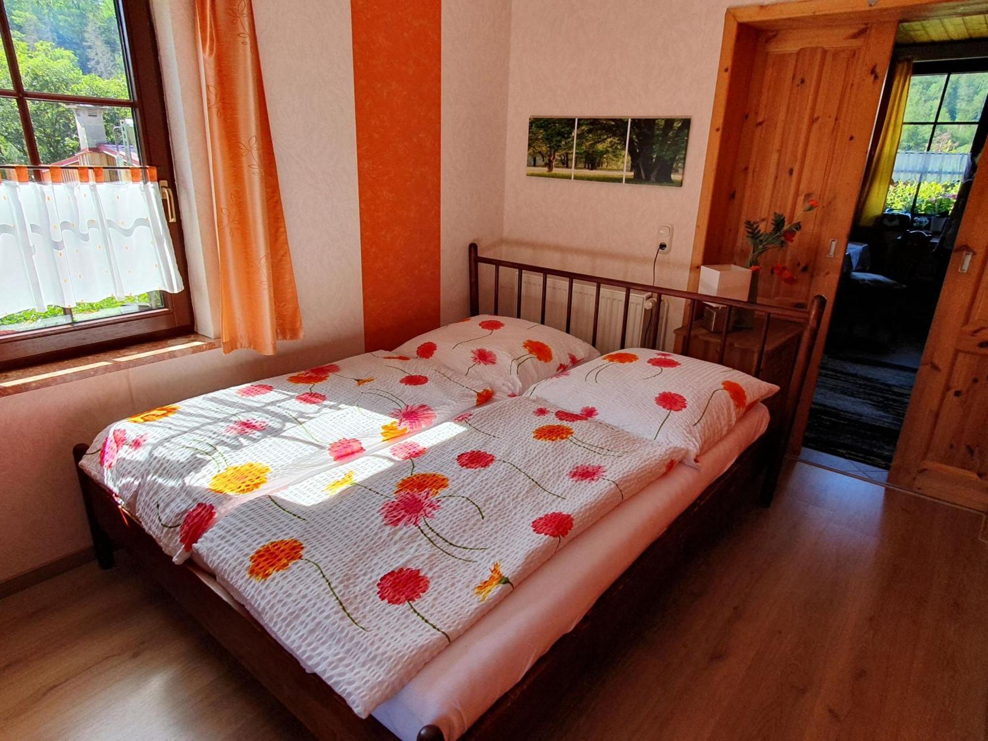Das Gruene Haus Am Hexenstieg Rubeland Exteriör bild