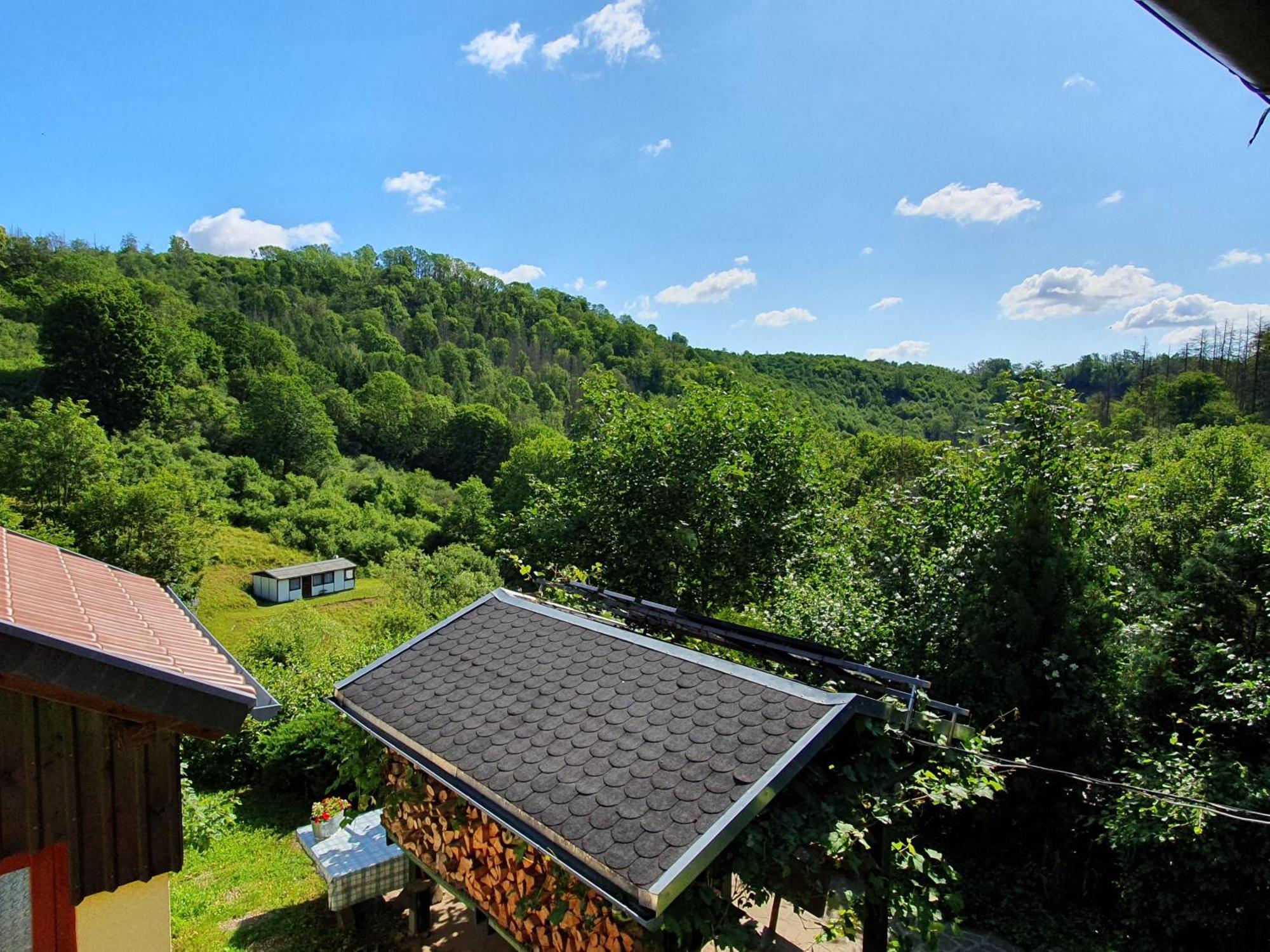 Das Gruene Haus Am Hexenstieg Rubeland Exteriör bild